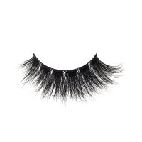 mega volume lash strips