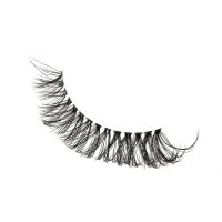 DD curl cat eye lashes strip