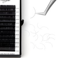 D curl volume lash extension