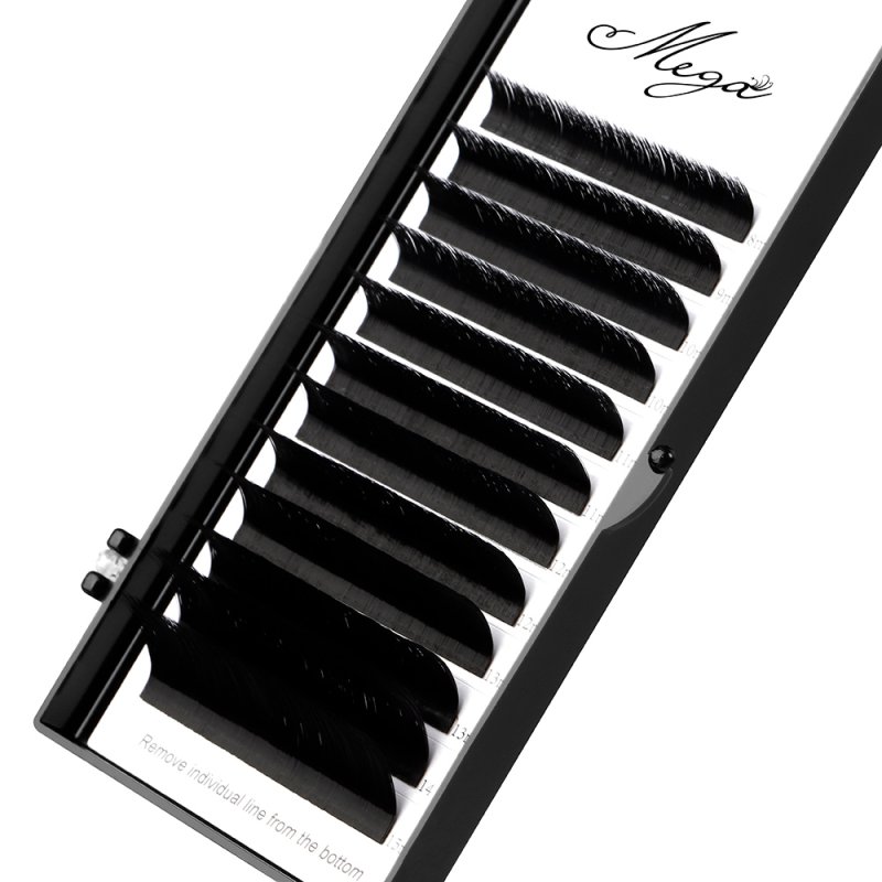 L curl easy fan eyelash extension