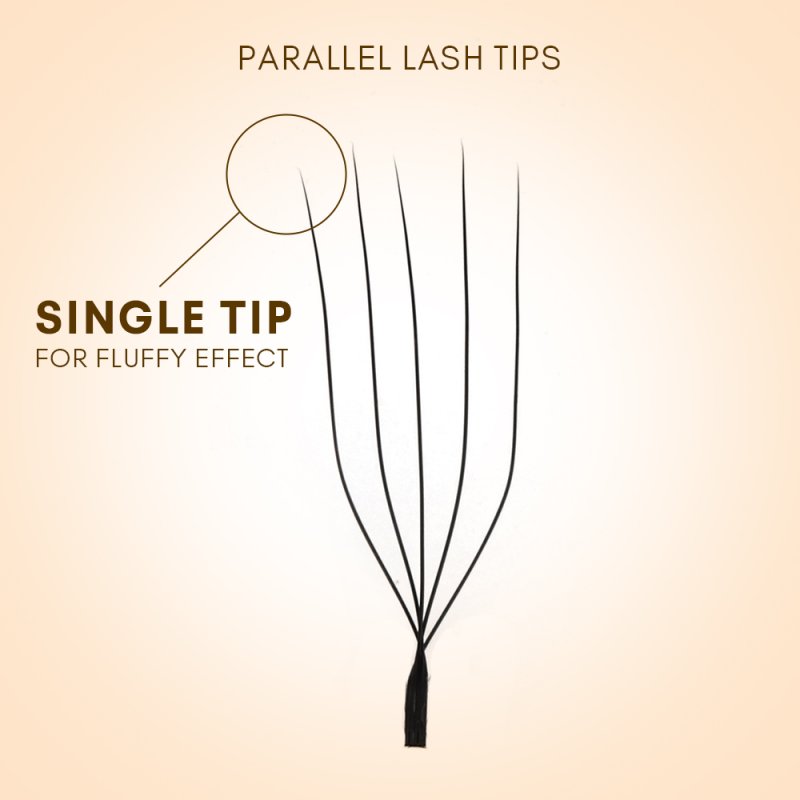 5D U lash fan detail