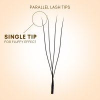 4D u lash fan detail