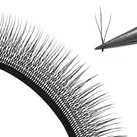 3D camellia W lash eyelash extension