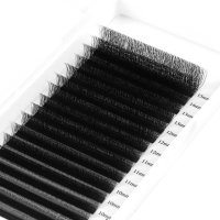 4D U shape w lashes tray