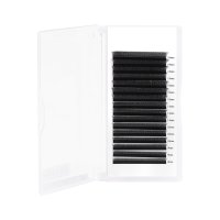 U shape 4D W lash extension