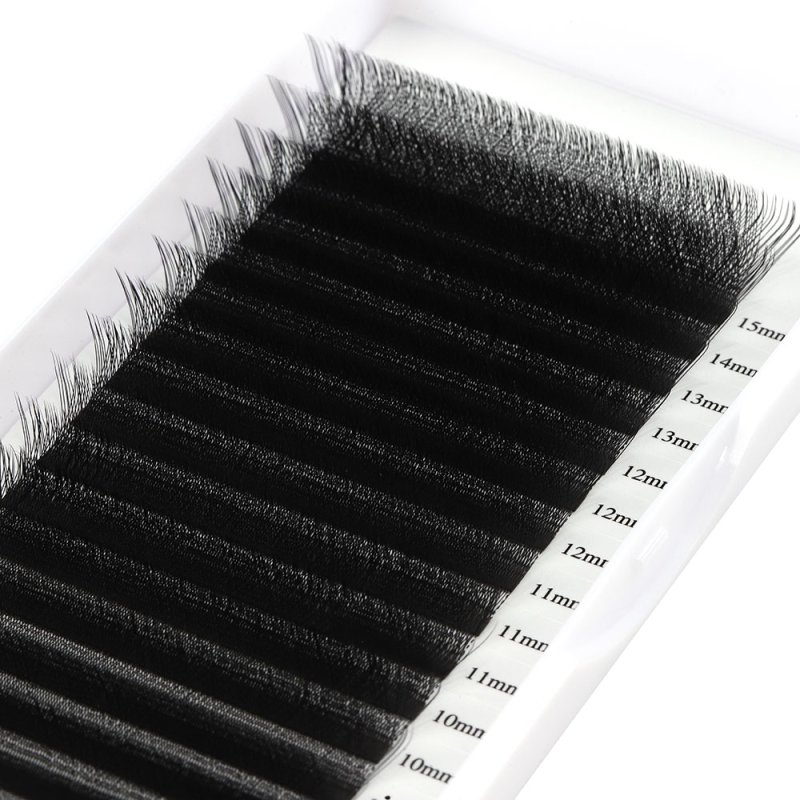 3D W lash eyelash extension