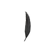 Pyramidal laser-cut lash extension