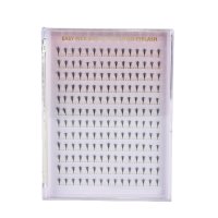 wispy airy fan lash extension