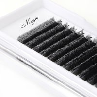 narrow fan 3D W lash extension 
