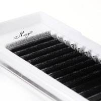narrow fan 4D W lash extension 