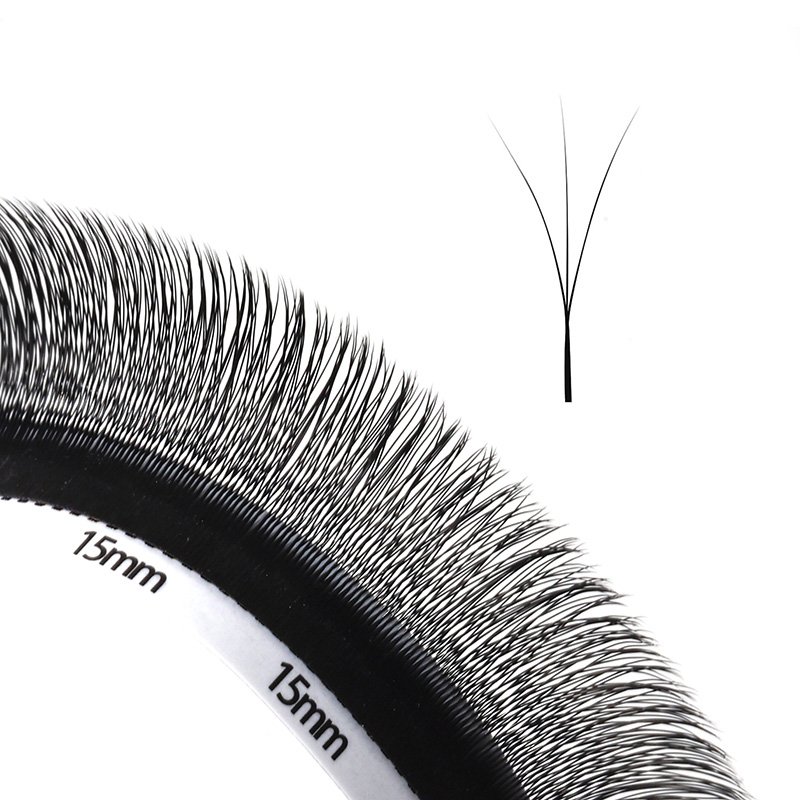 narrow fan 3D W lashes