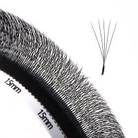 narrow fan 5D W lashes
