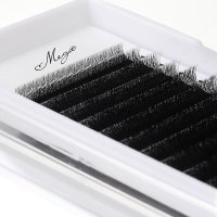 narrow fan 5D W lash extension 