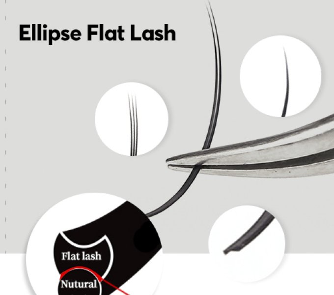 Types of Flat Lash Extensions: A Complete Breakdown for Lash Brands and Wholesale Buyers