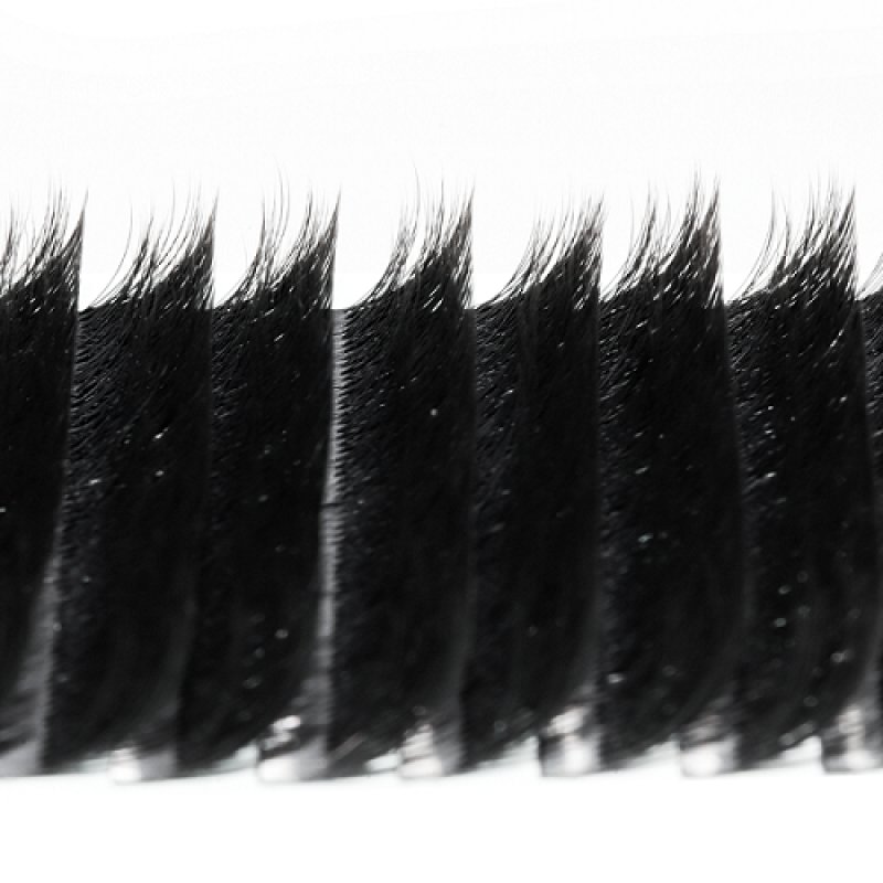 layered camellia lash extension