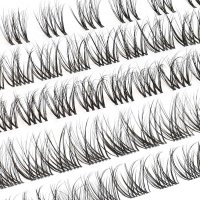 natural cluster lash