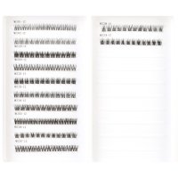 auto curved band cluster lashes style over view