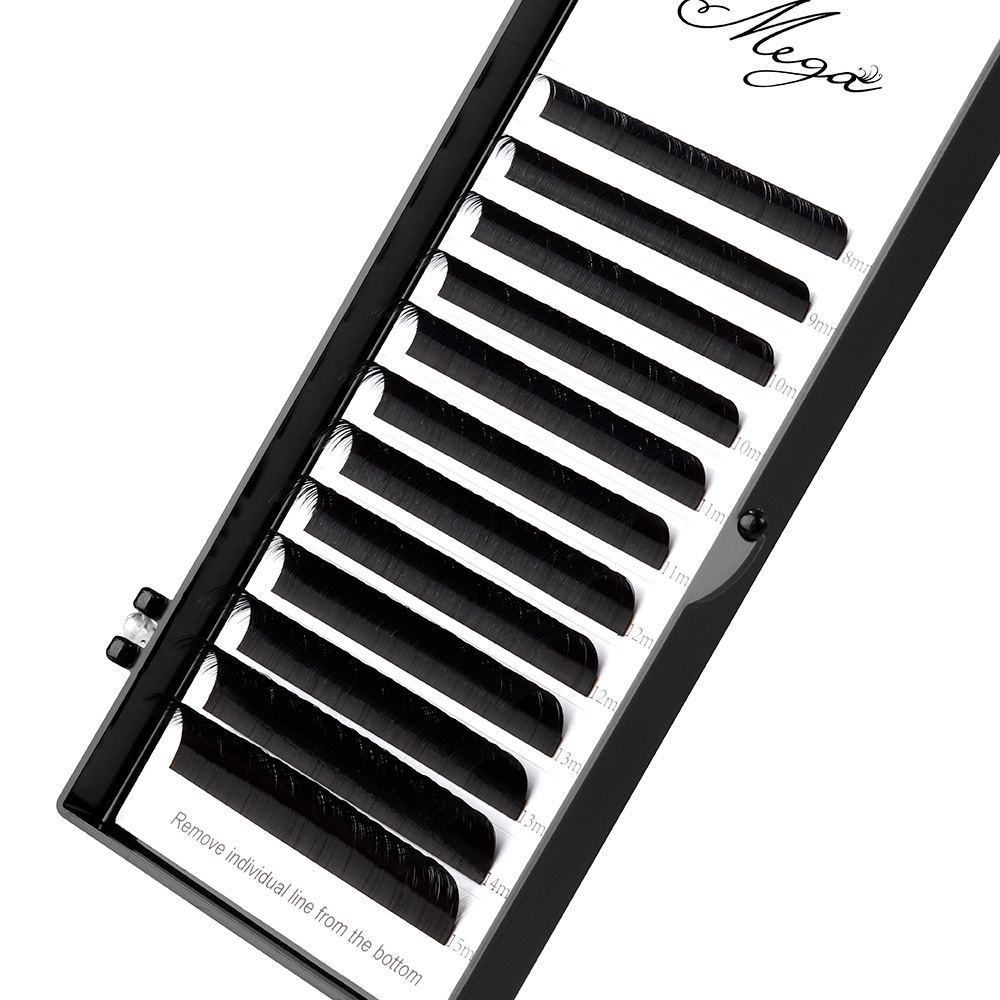 DD curl volume camellia lashes extension