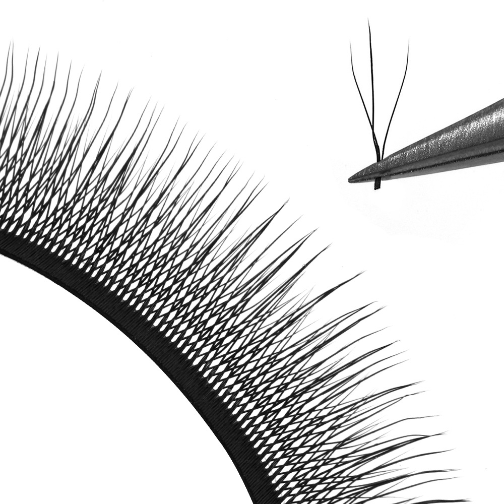 3D camellia W lash eyelash extension