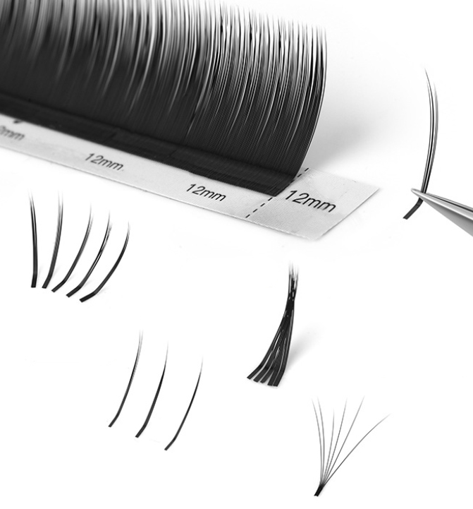 camellia lash extension